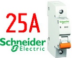   Schneider Electric BA63 1 25A (11205)