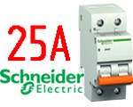   Schneider Electric BA63 1+H 25A (11215)
