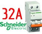   Schneider Electric BA63 1+H 32A (11216)