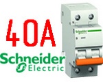   Schneider Electric BA63 1+H 40A (11217)