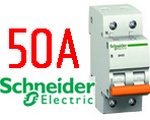   Schneider Electric BA63 1+H 50A (11218)