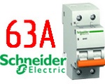  Schneider Electric BA63 1+H 63A (11219)