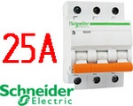   Schneider Electric BA63 3 25A (11225)