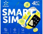    SMART SIM ( )