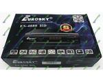  Eurosky 4080 HD