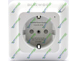   BlitzWolf BW-SHP8 3680W 16A WI-FI 