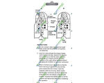  Prowest   8P8C (RJ-45) (501003)