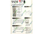      TS75 (12-1601)